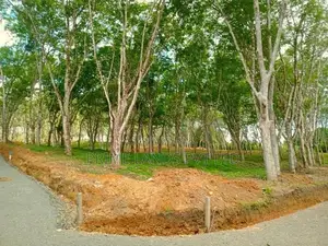 Lands for Sale in Ahangama