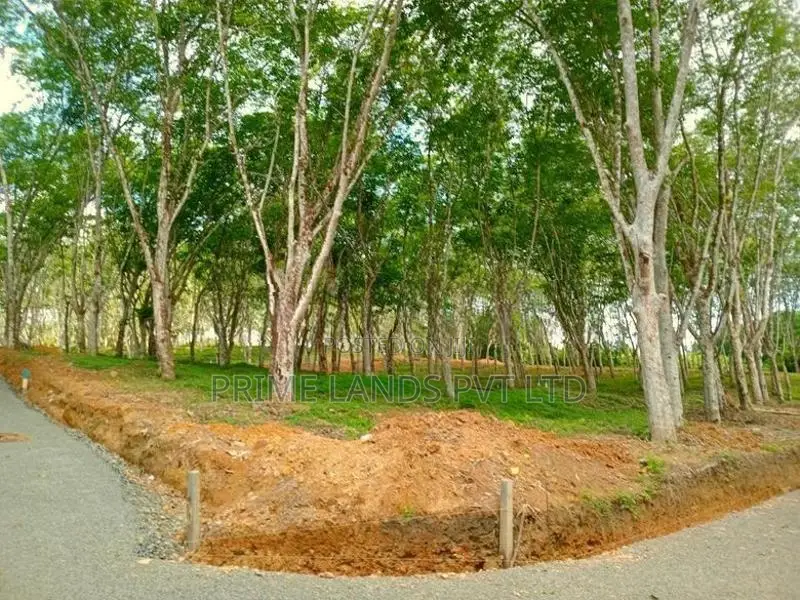 Lands for Sale in Ahangama