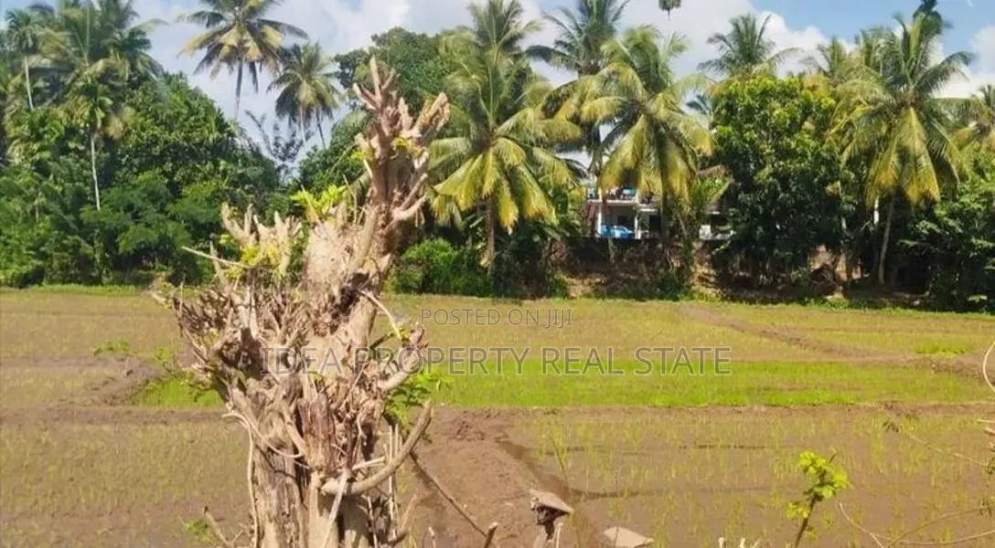(STL-632) Valuable Bare Land with Paddy View in Horana Padukka