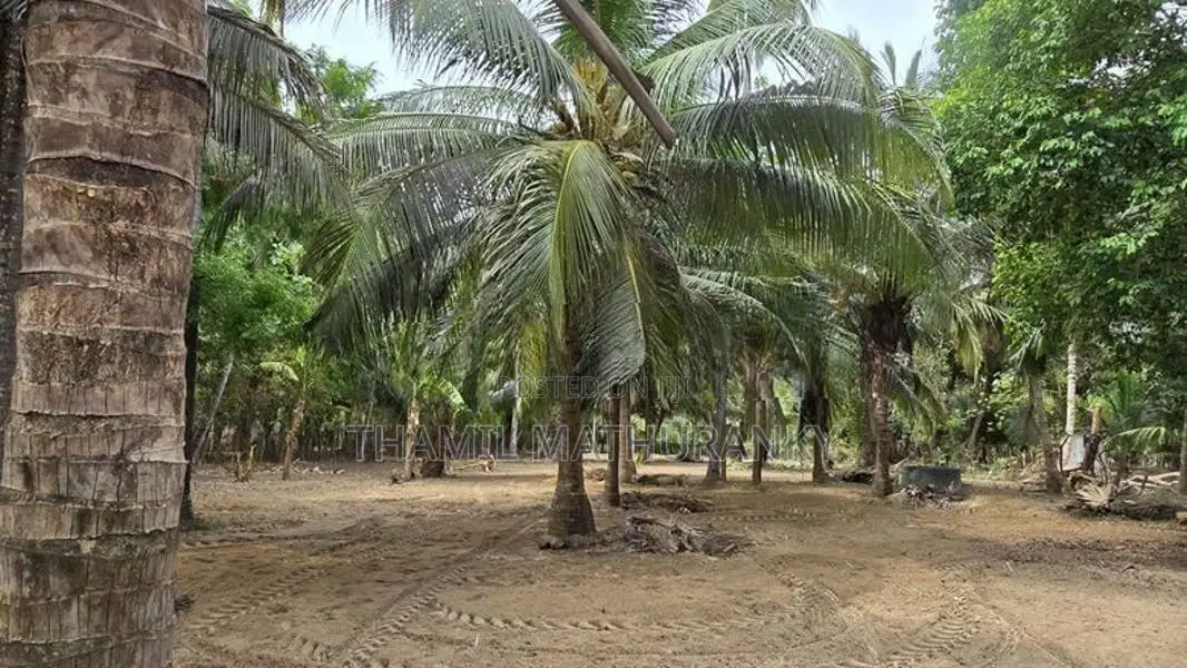 Agriculture Land Puthukkudiyiruppu