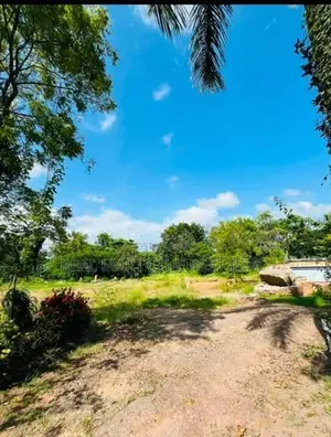 Wennappuwa 5 Acres Prime Land for Sale
