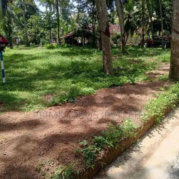 Land for Sale Divulapitiya