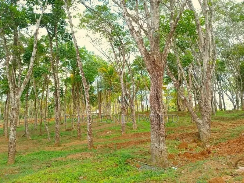 Lands for Sale in Ahangama