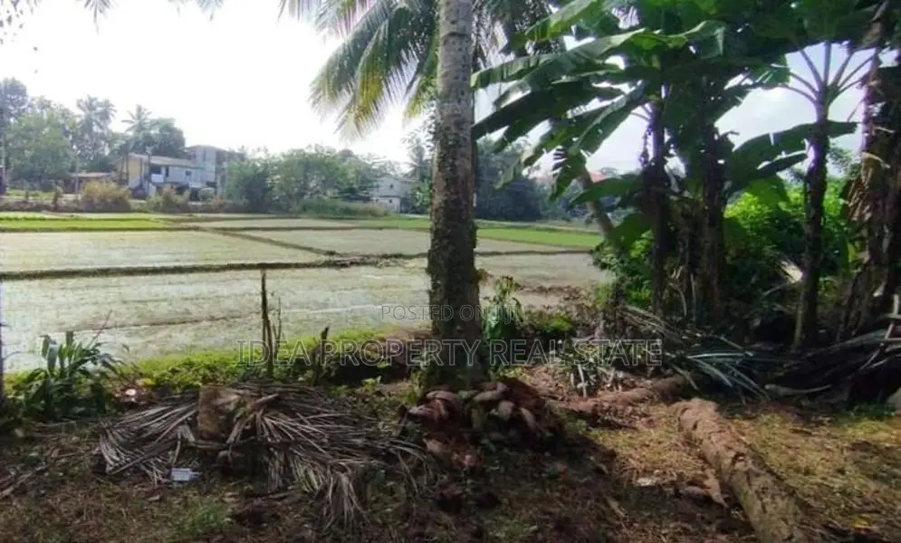 (STL-632) Valuable Bare Land with Paddy View in Horana Padukka