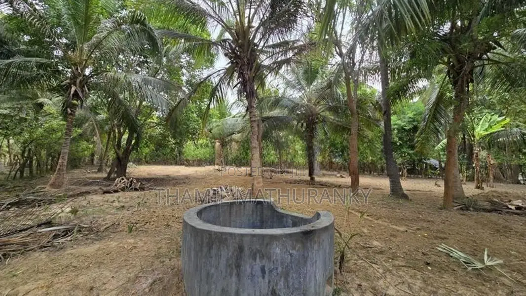 Agriculture Land Puthukkudiyiruppu