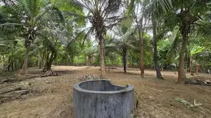 Agriculture Land Puthukkudiyiruppu
