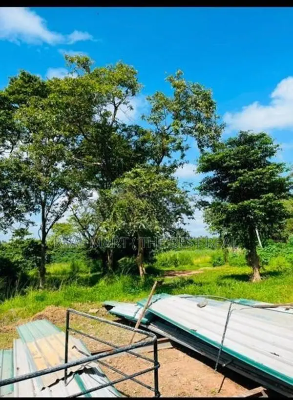Wennappuwa 5 Acres Prime Land for Sale