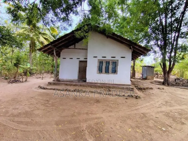 උඩවලව වටිනා තේක්ක සහිත පර්චස් 450ක ඉඩමක් විකිනීමට