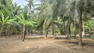 Agriculture Land Puthukkudiyiruppu
