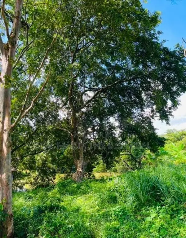 Wennappuwa 5 Acres Prime Land for Sale