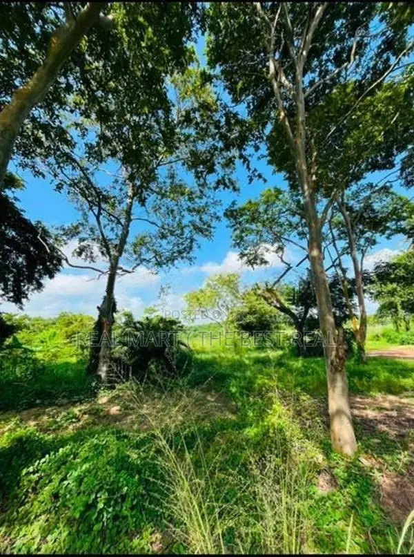 Wennappuwa 5 Acres Prime Land for Sale