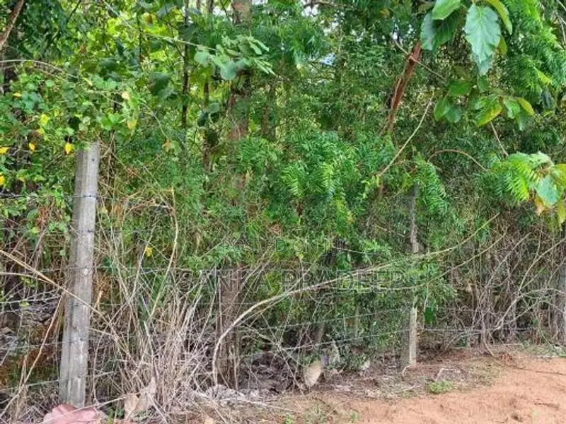 උඩවලව වටිනා තේක්ක සහිත පර්චස් 450ක ඉඩමක් විකිනීමට