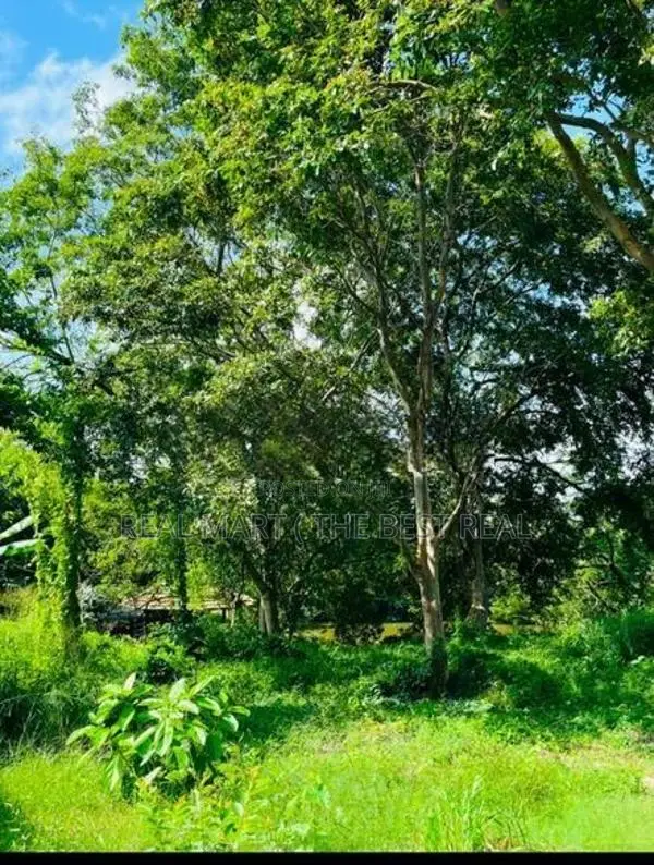 Wennappuwa 5 Acres Prime Land for Sale