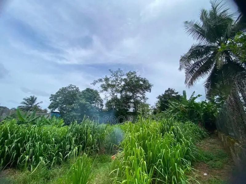 ( TS-1185) Valuable Residential Bare Land Sale in Malabe