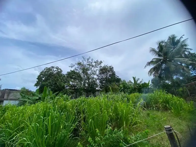 ( TS-1185) Valuable Residential Bare Land Sale in Malabe