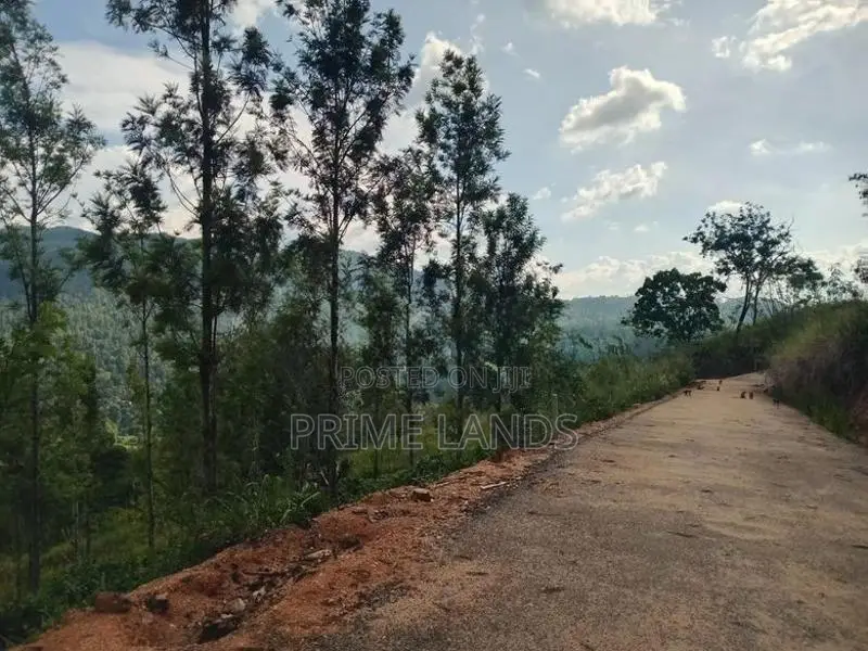 Land for Sale Nillamba