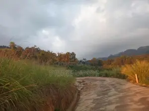 Land for Sale Nillamba