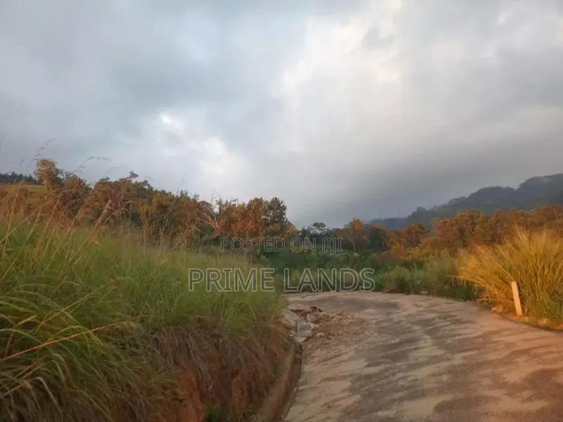Land for Sale Nillamba