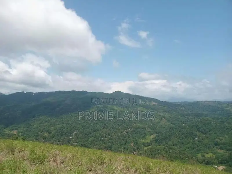 Land for Sale Nillamba