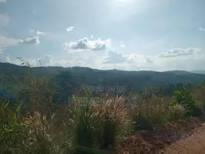 Land for Sale Nillamba