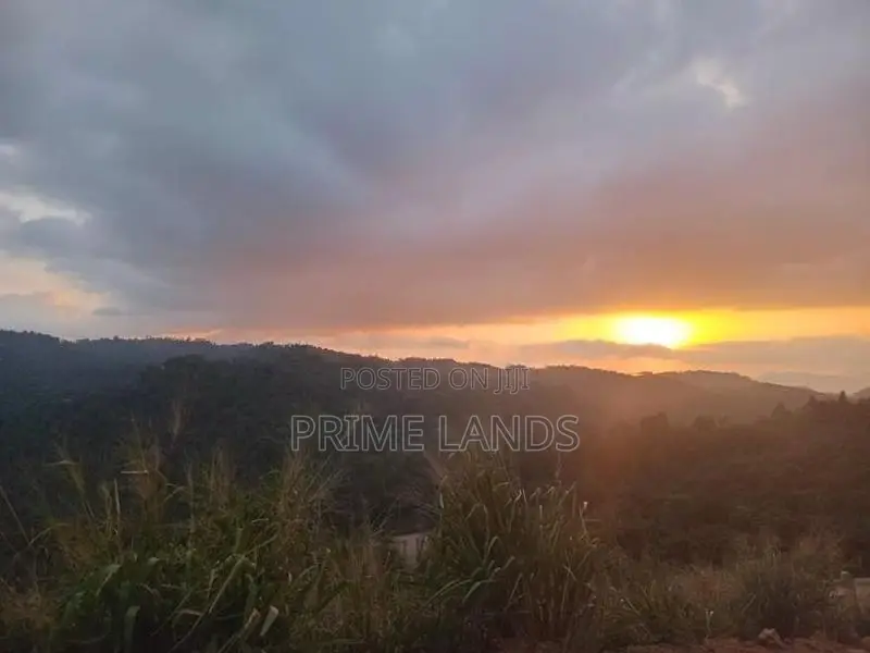 Land for Sale Nillamba