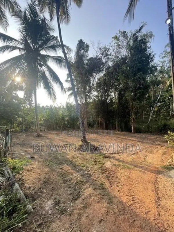 12.5 Perch Prime Residential Land Near Lyceum - Kalagedihena