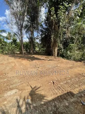 12.5 Perch Prime Residential Land Near Lyceum - Kalagedihena