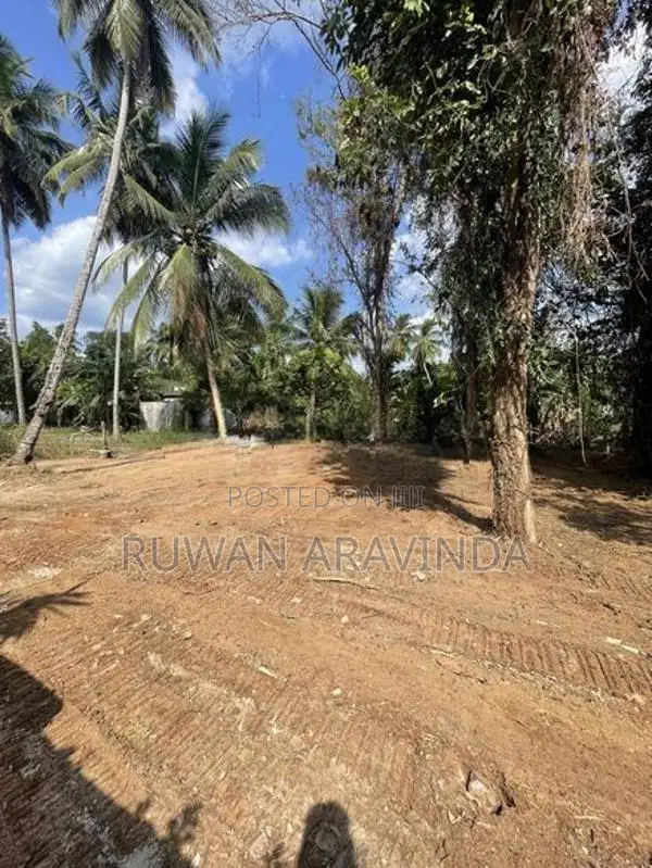 12.5 Perch Prime Residential Land Near Lyceum - Kalagedihena