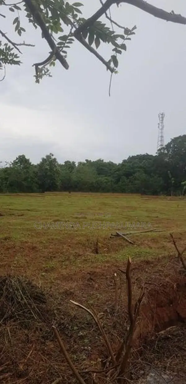 සෙල්ල කතරගම නගරයෙන් වටිනා ඉඩමක්
