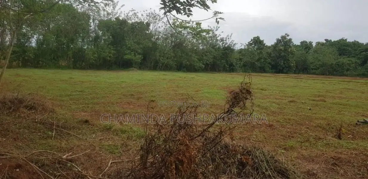 සෙල්ල කතරගම නගරයෙන් වටිනා ඉඩමක්