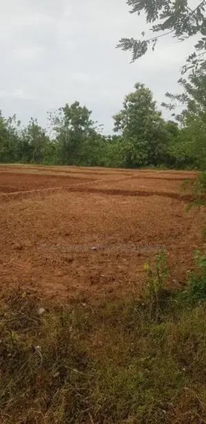 සෙල්ල කතරගම නගරයෙන් වටිනා ඉඩමක්