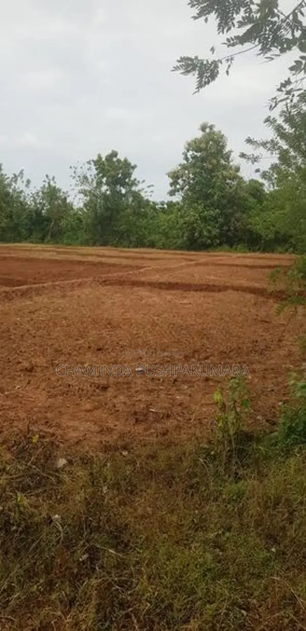 සෙල්ල කතරගම නගරයෙන් වටිනා ඉඩමක්