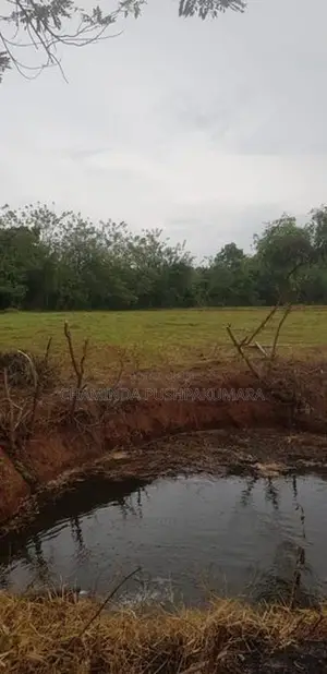 සෙල්ල කතරගම නගරයෙන් වටිනා ඉඩමක්