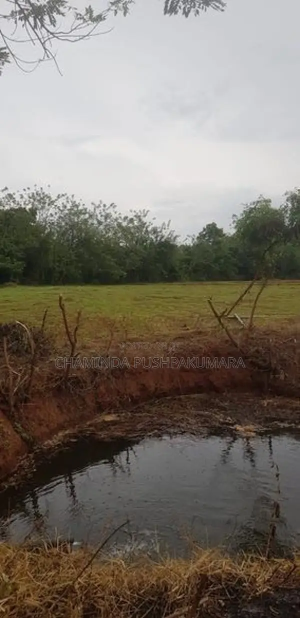 සෙල්ල කතරගම නගරයෙන් වටිනා ඉඩමක්