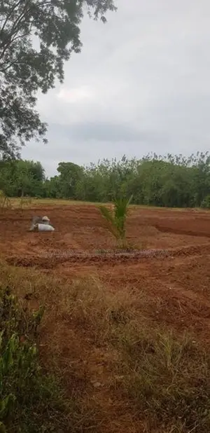 සෙල්ල කතරගම නගරයෙන් වටිනා ඉඩමක්