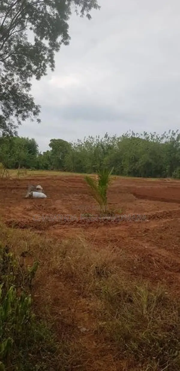 සෙල්ල කතරගම නගරයෙන් වටිනා ඉඩමක්