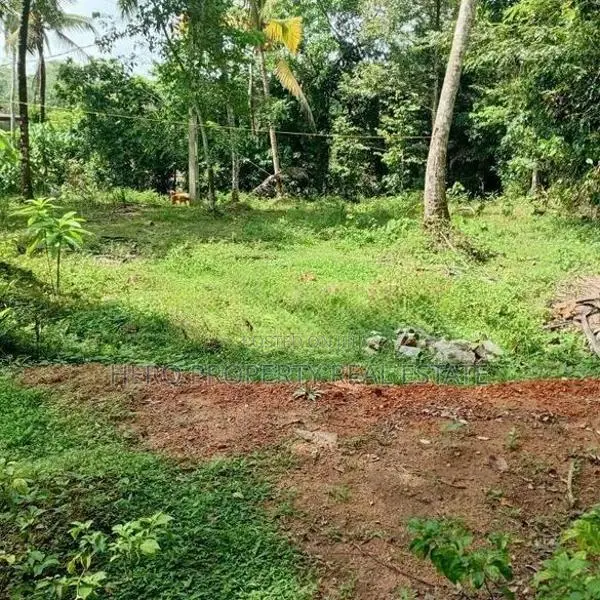 💁පර්චස් 102ක කොටස් 7කට වෙන් කල COC සහ කාමර 4ක නිවසක් සහිත ඉඩම විකිණිමට