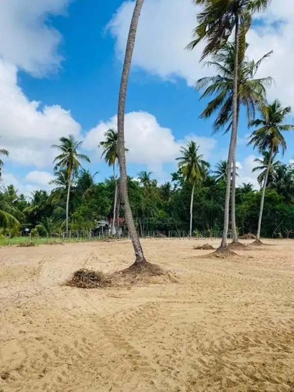 කාක්කපල්ලිය අවටින් සින්නක්කර බිම් කොටස්