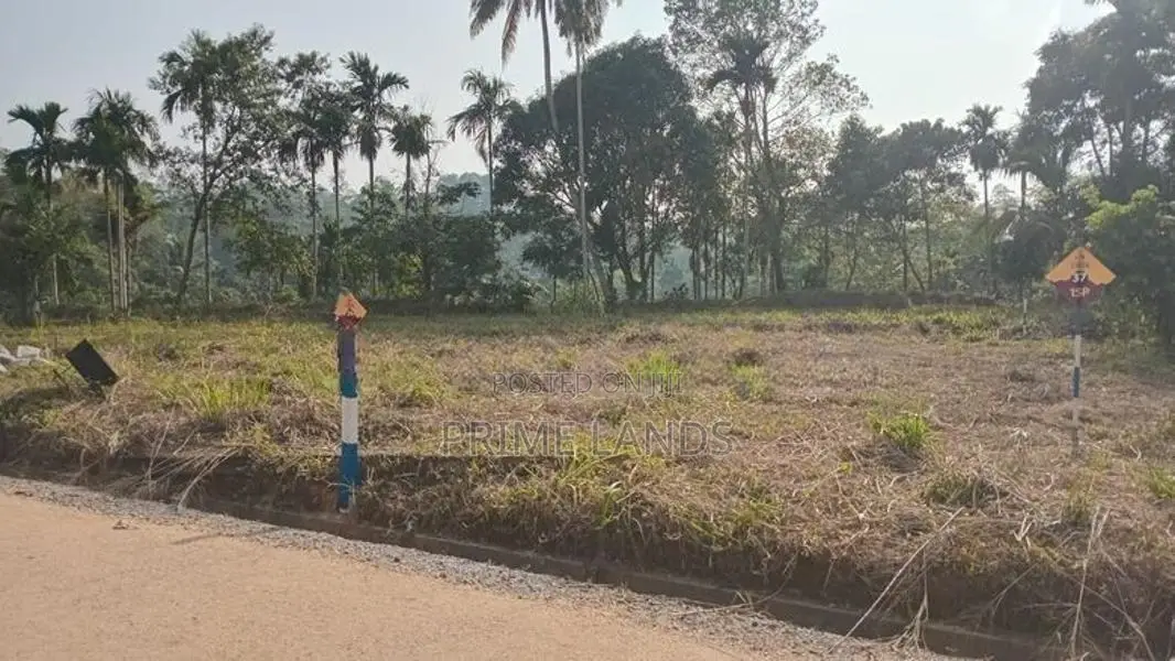 Land for Sale in Nawalapitiya