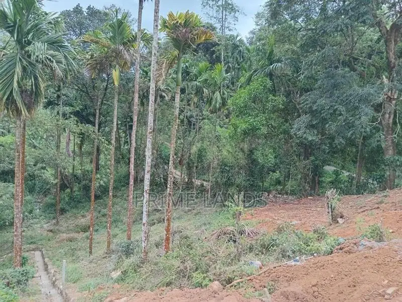 Land for Sale in Nawalapitiya