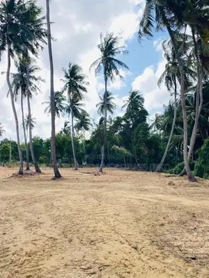 හලාවත - කොළඹ පාරට 1.5km දුරින් සින්නක්කර බිම් කොටස්