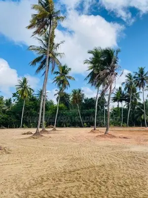 කාක්කපල්ලිය හංදියට ආසන්නව සින්නක්කර බිම් කොටස්