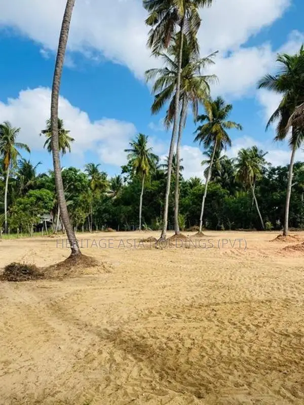 Land for Sale Kakkapalliya