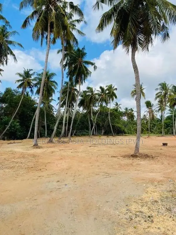 හලාවත - කොළඹ පාරට 1.5km දුරින් සින්නක්කර බිම් කොටස්