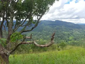 Land for Sale in Nillamba