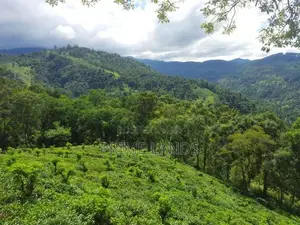 Land for Sale in Nillamba