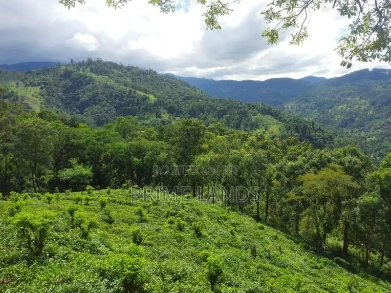 Land for Sale in Nillamba