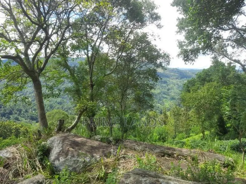Land for Sale in Nillamba