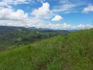 Land for Sale in Nillamba