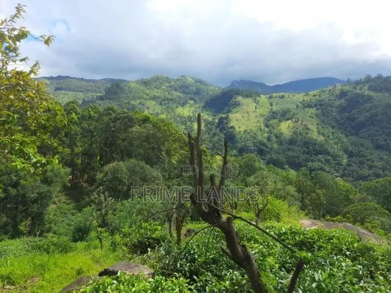 Land for Sale in Nillamba